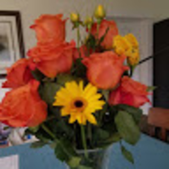 Meet your Posher, Katie - Picture 1 of 1